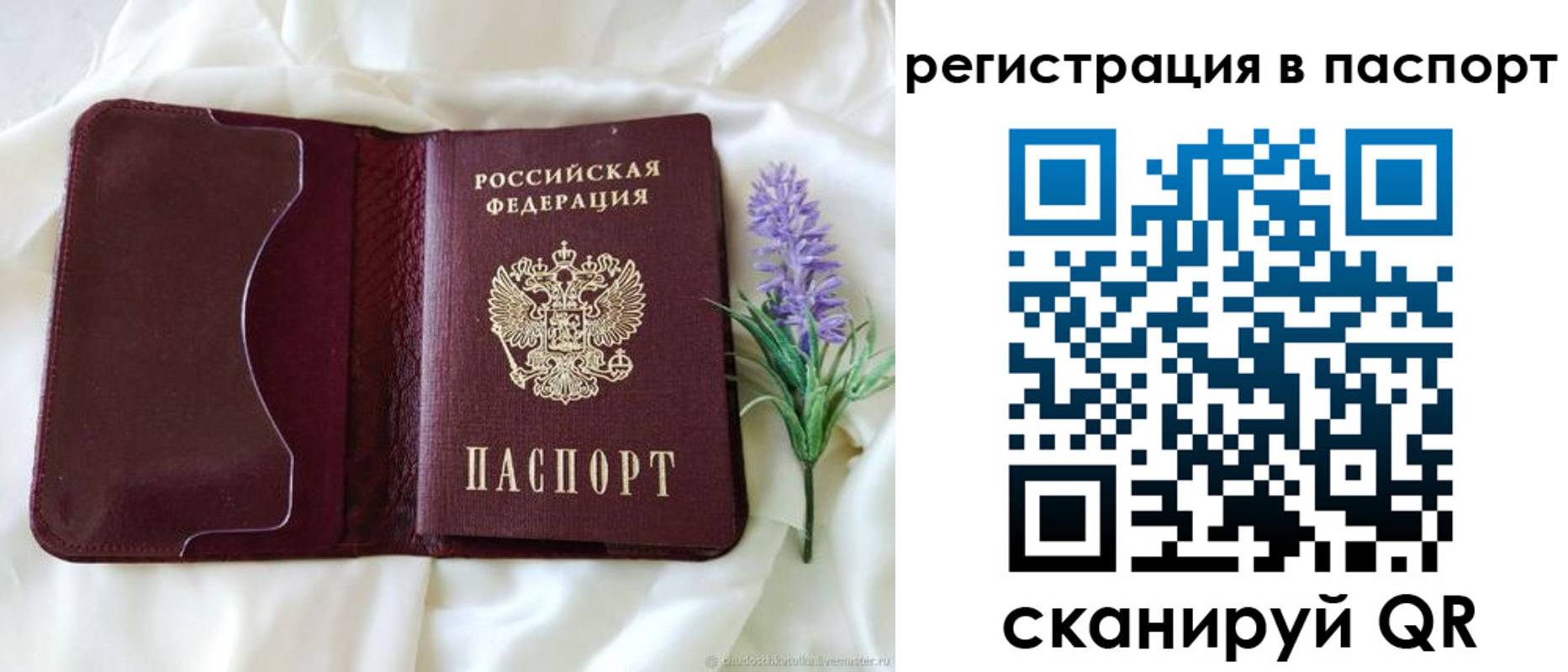 временная регистрация для всех в Тереке